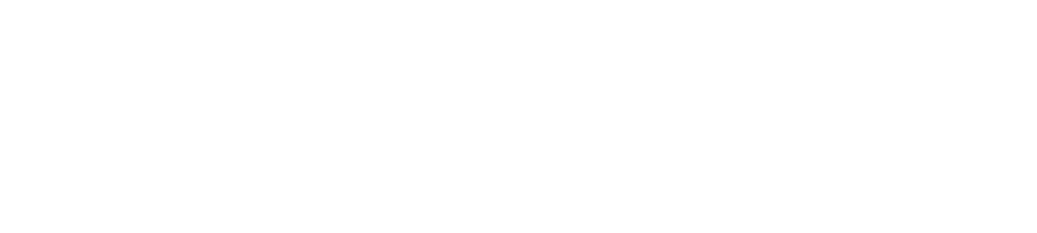 NZ Govt logo white