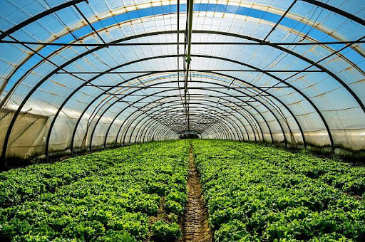 Greener greenhouses