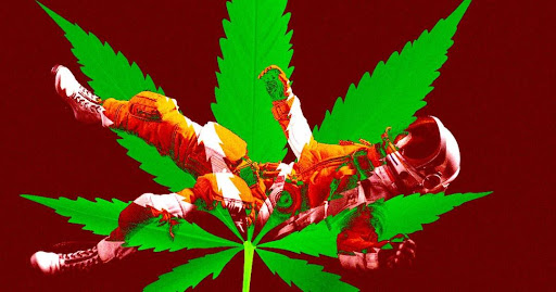 Sky-high- Bioreactor grown cannabis